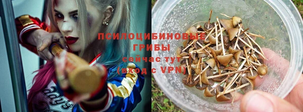 шишки Балабаново